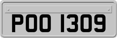 POO1309