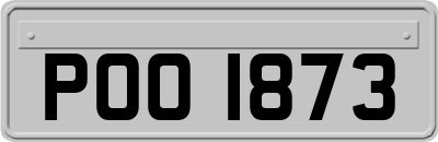 POO1873