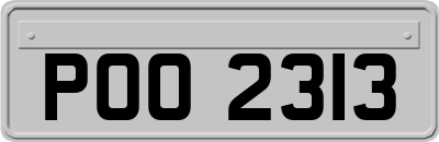 POO2313
