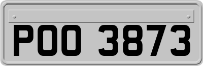POO3873