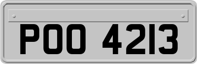 POO4213