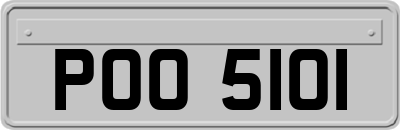 POO5101