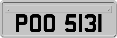 POO5131