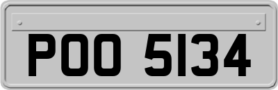 POO5134