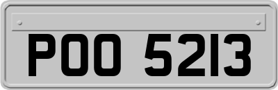 POO5213