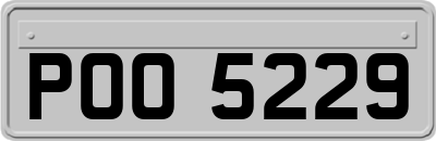 POO5229