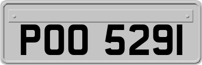 POO5291