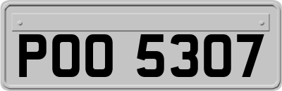 POO5307