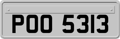 POO5313