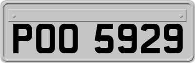 POO5929