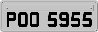 POO5955