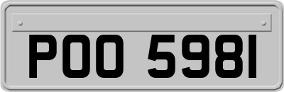 POO5981