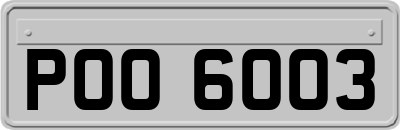POO6003