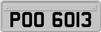 POO6013
