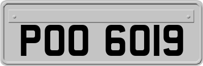 POO6019