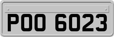POO6023