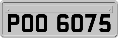 POO6075