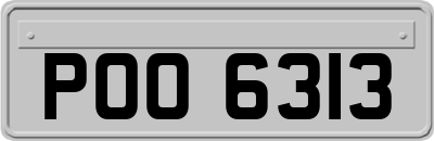 POO6313