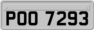 POO7293