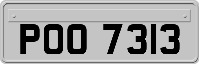 POO7313
