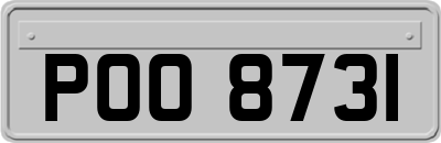 POO8731