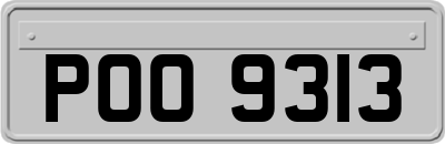 POO9313