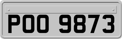 POO9873