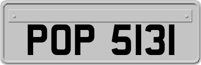POP5131