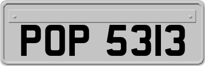 POP5313