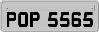 POP5565