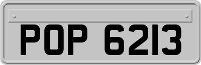 POP6213