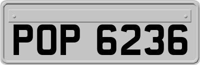 POP6236