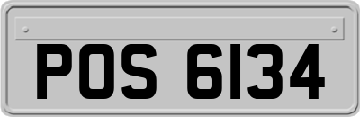 POS6134