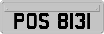 POS8131