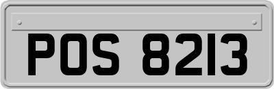 POS8213