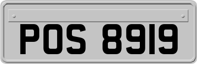 POS8919