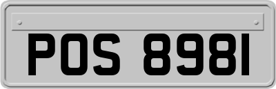 POS8981