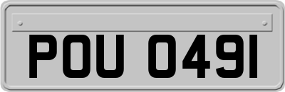 POU0491