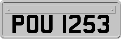 POU1253