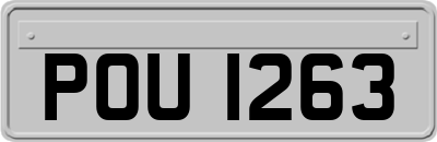 POU1263