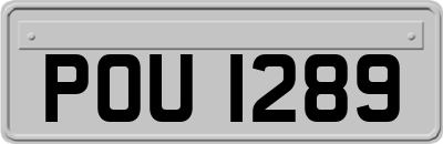 POU1289