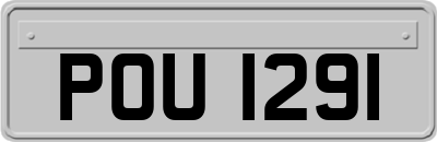POU1291