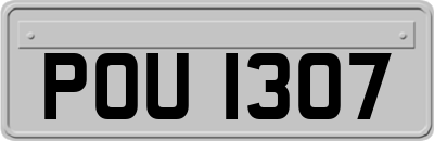 POU1307