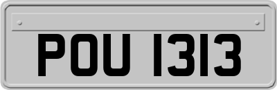 POU1313