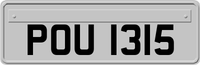 POU1315
