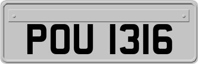POU1316