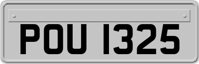 POU1325
