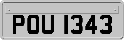 POU1343