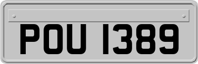 POU1389