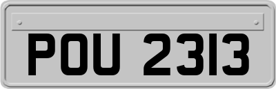 POU2313